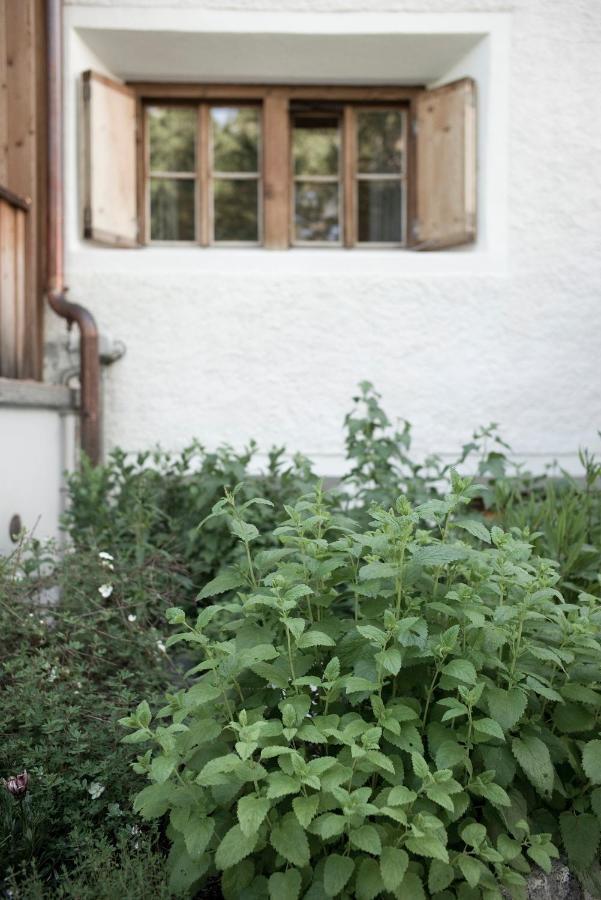 Alpengasthof Crusch Alba Ed Alvetern, S-Charl Scuol Exterior foto